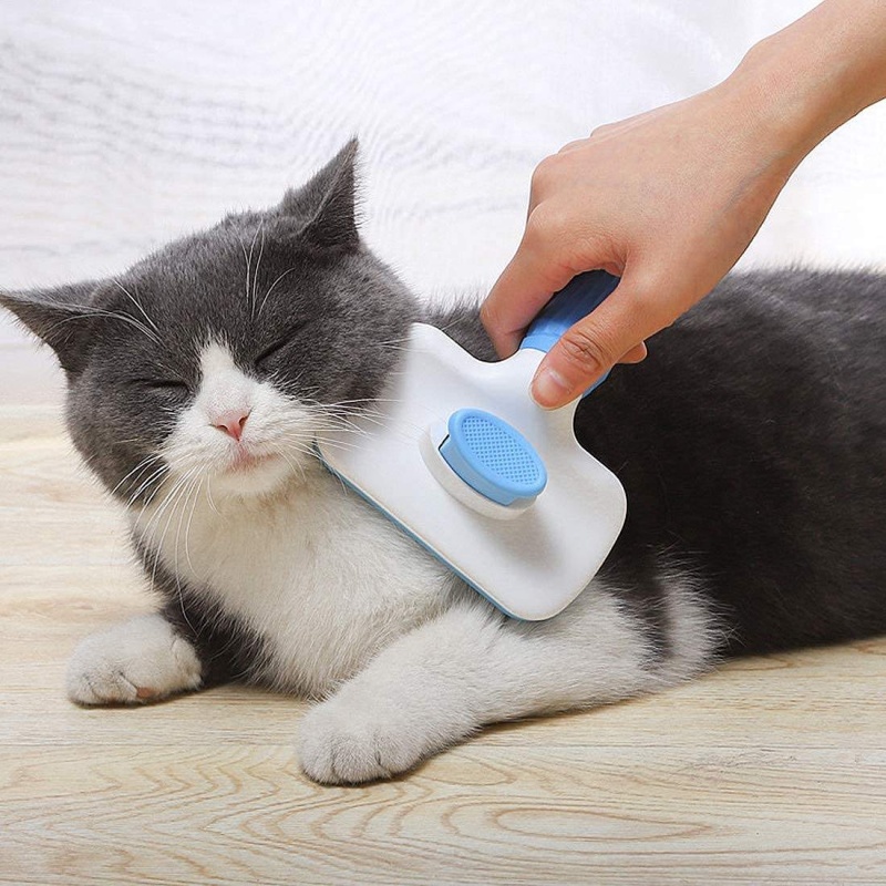 Cepillo autolimpiante para eli - Hair Care Is Self Care reseña y precio